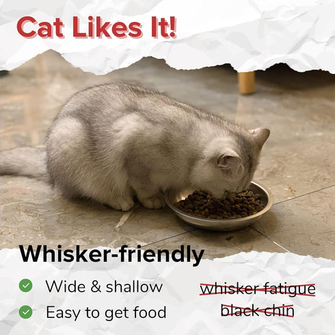 18/8 Stainless Steel Cat Bowls, Human Grade, Whisker Friendly - Pack of 1