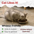 18/8 Stainless Steel Cat Bowls, Human Grade, Whisker Friendly - Pack of 1