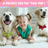 Reginary 20 Pcs Dog Collar Flowers, 3.35 Inch Multi Color Bow Ties for Puppy Dog Cat Collar Grooming Accessories
