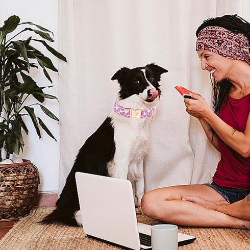 Elegant Little Tail Dog Collar, Watermelon Print Adjustable Cotton Durable Collar for Large Dogs