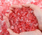 QINJIEJIE 0.9Lbs Cherry Quartz Crystal Chips Rocks for Plant Bulk Decorative Aquarium