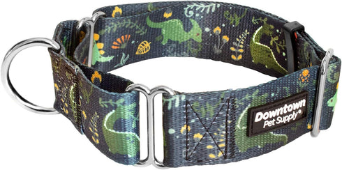 Downtown Pet Supply Martingale Collar for Dogs, Big Wide Thick Dog Training Collar, Escape-Proof, Dino, Small