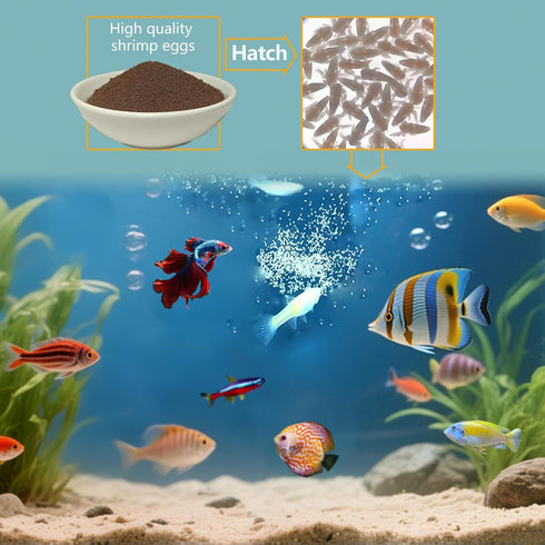 90% 1 OZ Brine Shrimp Eggs Fish Food - Hatch Rate Artemia Cysts Aquatic Foods for Baby Aquarium Fish Freshwater