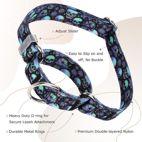 Martingale Collar for Dogs, Skull Dog Collar for Large Medium Small Dogs, Adjustable No Slip Collar for Girl or Boy