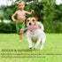 GOOLA Durable Plush Squeaky Dog Toys with Crinkle Paper, Unicorn Themed Pack for Puppies to Large Dogs