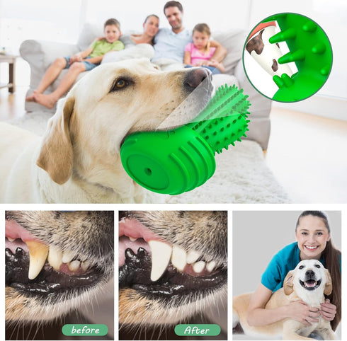 Dog Chew Toys Dog Toothbrush Stick - Teeth Cleaning Brush Dental for Medium Large Dog, Puppy Christmas, Easter Birthday