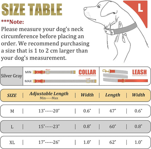 QRDA Dog Collar and Leash Set in Silver Gray, Adjustable Durable Nylon Collars with Tactical Breakaway Leash for All