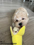 Puppy Toys - 7 PCS Adorable Plush Chews for Small Dogs, Safe Interactive Teething Playmates