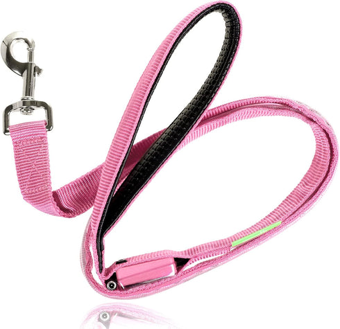 Illumiseen LED Light Up Dog Leash, Ultra High Visibility, USB Rechargeable, Padded Handle, 3 Lighting Modes