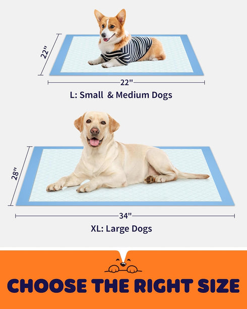 6-Layer 34" 28", 100 Packs Powools Puppy Pads - Super Absorbent & Spill-Proof Pee Pads for Dogs with Material