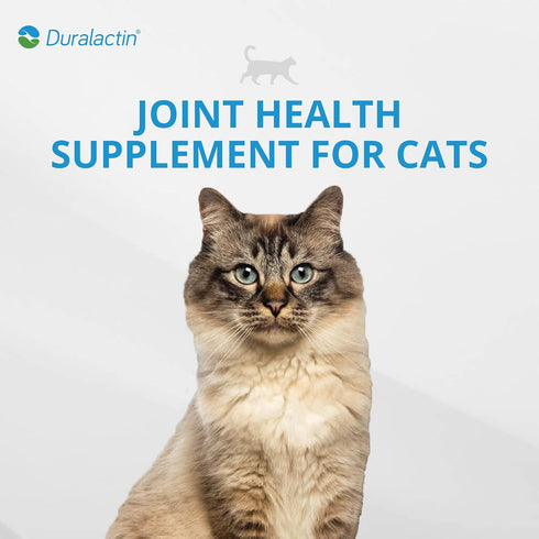 PRN Pharmacal Duralactin Feline - Joint Health Supplement for Cats & Kittens, 60 Capsules