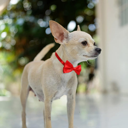 KOOMOX Red Bow for Dog, Adjustable Bow Tie Collar for Medium and Large Dogs Cats, 1 Piece Red