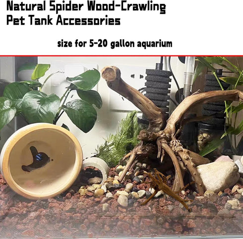 Hamiledyi 4 Pcs Driftwood for Aquarium, Natural Spider Wood Fish Tank Log Ornament