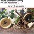 Hamiledyi 4 Pcs Driftwood for Aquarium, Natural Spider Wood Fish Tank Log Ornament