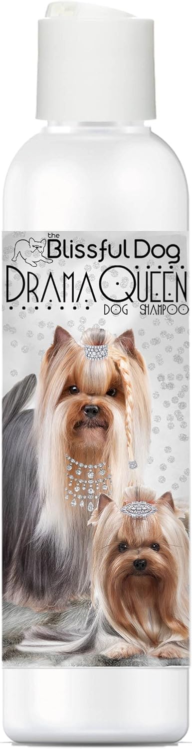 The Blissful Dog Drama Queen Luxury Dog Shampoo, Nourishing Supplies for Soft, Silky, Shiny Coat, 8 oz Moisturizing