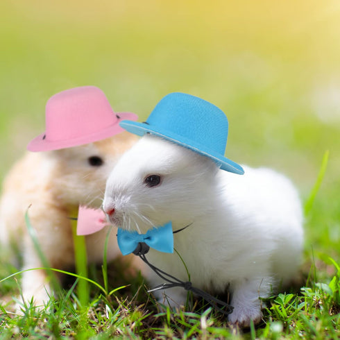 8 Pieces Guinea Pig Clothes, 4 Sets Bow Ties, Pet Hats, Kawaii Black Hat Outfit for Hamster, Ferret, Cat, Puppy