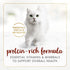3 oz. (Pack 48) Fancy Feast Purina Tender Beef Feast Classic Grain Free Wet Cat Food Pate - Cans