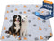 WanpeeGoo Washable Pee Pads for Dogs, 1 Pack Absorbent Reusable Training Dog
