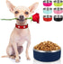 LIHONG Dog Bowls, Stainless Steel Non-Slip Dog Bowls for Small Medium Dogs, Insulated Pet Bowl for Food and Water