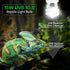 LUCKY HERP 5.0 UVA UVB Reptile Light - 15W Compact Fluorescent Lamp for Chameleons, Lizards, Tortoises, Snakes