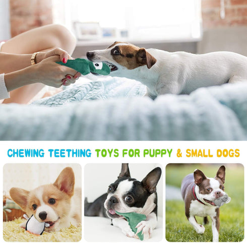 LEGEND SANDY Squeaky Dog Toys for Puppy, Small Medium Dogs, Stuffed Plush Pet Chew Toy Set, 12 Pack