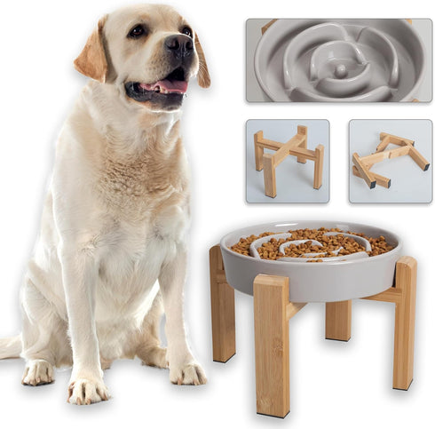 Elevated Slow Feeder Dog Bowl - Puzzle Maze Dish with Bamboo Stand