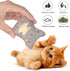 Dorakitten Catnip Toys for Indoor Cats - 5PCS Plush Chew Toys Teething Interactive Catnip Filled