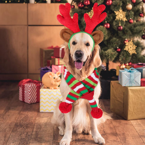 BWOGUE Dog Christmas Reindeer Elk Antlers Headband - Red-White-Green Striped Scarf Set for Dogs and Cats