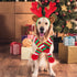 BWOGUE Dog Christmas Reindeer Elk Antlers Headband - Red-White-Green Striped Scarf Set for Dogs and Cats