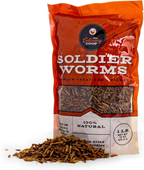 Packed 100% 16 oz Fluker's Culinary Coop Premium Chicken Treats, Dried Soldier Worms, with Protein and Calcium, Natural