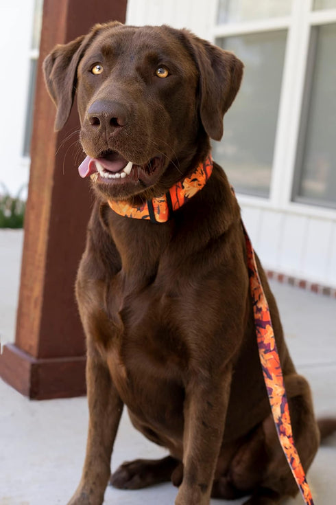 Country Brook Petz Deluxe Orange Sunset Camo Dog Collar - Made in The U.S.A. (1 Inch, Medium)