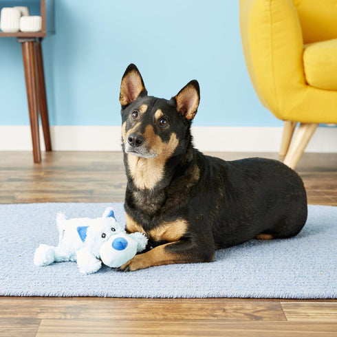 Cozie Cozie KONG Marvin The Moose Plush Dog Toy and Medium Baily The Blue Dog Toy Bundle
