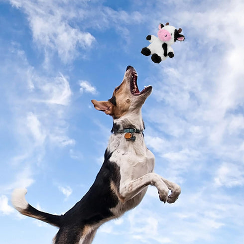 Blnboimrun Dog Toys Puppy Toys Interactive Dog Toys for Small Medium Large Dogs, Squeaky Dog Chew Toys to Keep Them