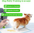 3.38 Oz Dog Potty Training Spray & NO-GO Area Spray, Safe & Effective Puppy Pee Spray, Helps Train Puppies & Dogs Where