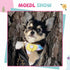 Small Dog Shirt, Cute Puppy Cat T-Shirt, Soft Cotton Sleeveless Tee for Small Dogs Cats, Summer Doggy Vest (Coffee