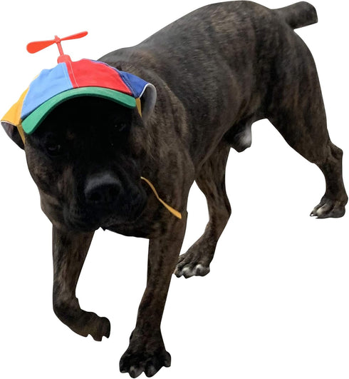 GEANBAYE Dog Hats with Funny Propeller - Size and Rope Double Adjustment for Small, Medium, Large Dogs and Cats