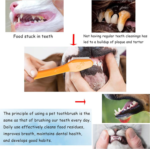 200PCS Set, 5 Pet Toothbrush Colors Dual-Ended Dog Cat Tooth Brushes Bulk for Small Medium Large Dogs Cats, Soft