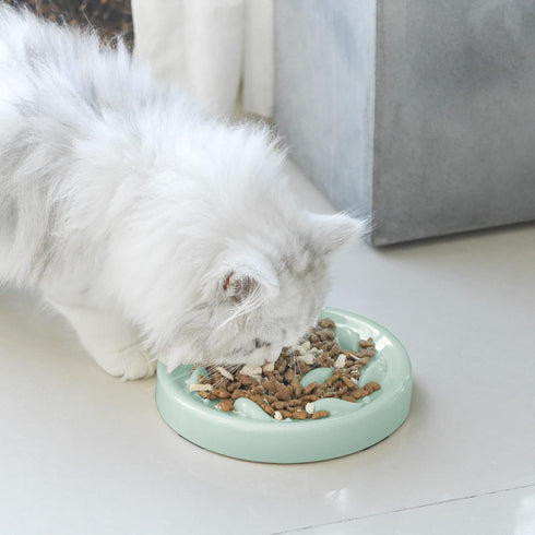 Slow Feeder Bowl for Cats and Small Dogs - Cilkus Fish Pool Design, Dishwasher Safe, Green