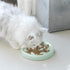 Slow Feeder Bowl for Cats and Small Dogs - Cilkus Fish Pool Design, Dishwasher Safe, Green