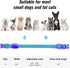 Visinite Light Up Dog Collars for Small Dogs, LED Dog Collar Light Rechargeable, Fully Adjustable Glow in The Dark Dog