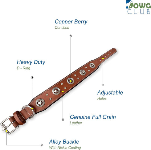 Genuine Leather Dog Collar | Saddle Grade, Full Grain, Heavy Duty for Medium, Large, XL Breeds (L, Tan)