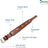 Genuine Leather Dog Collar | Saddle Grade, Full Grain, Heavy Duty for Medium, Large, XL Breeds (L, Tan)
