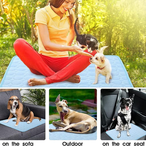 Cooling Mat Pad for Dogs Cats, Ice Silk Mat for Kennel/Sofa/Bed/Floor/Car Seats, 28 X 22in Blue