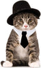 HUYADAPI Pet Bow Tie Adjustable Collar and Costume Top Hat for Cats, Dogs, 2 Pieces