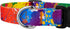 Country Brook Petz Deluxe Paint Splatter Dog Collar - Made in The U.S.A., Groovy Collection (1 Inch, Large)