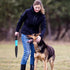 2 BBTO Pcs Dog Break Stick Bite Sticks Doggy Fight Stopper Break Sticks Dog Fight Training Pet Stick Chew Toys