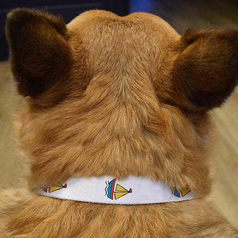 Azeeda (PR00067373) Small 'Sail Boat Toy' Dog Collar