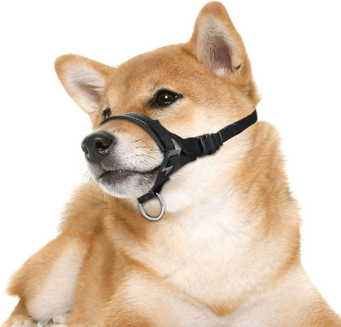 Lepark Nylon Dog Muzzle, Adjustable Loop for Small, Medium, Large Dogs, Prevents Biting, Barking, Chewing (L/Black)