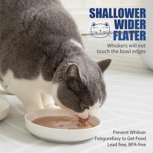 Shallow Cat Food Bowls, 5.9 Inch Wide Ceramic Dishes for Indoor Cats, Anti Whisker Fatigue, 3 Pack (Blue)