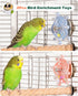 Goodlifebird 2 Pcs Bird Toys for Parakeets, Budgie Toys, Spinning Wheel Parrot Toys, Chewing Exercisers, Interactive